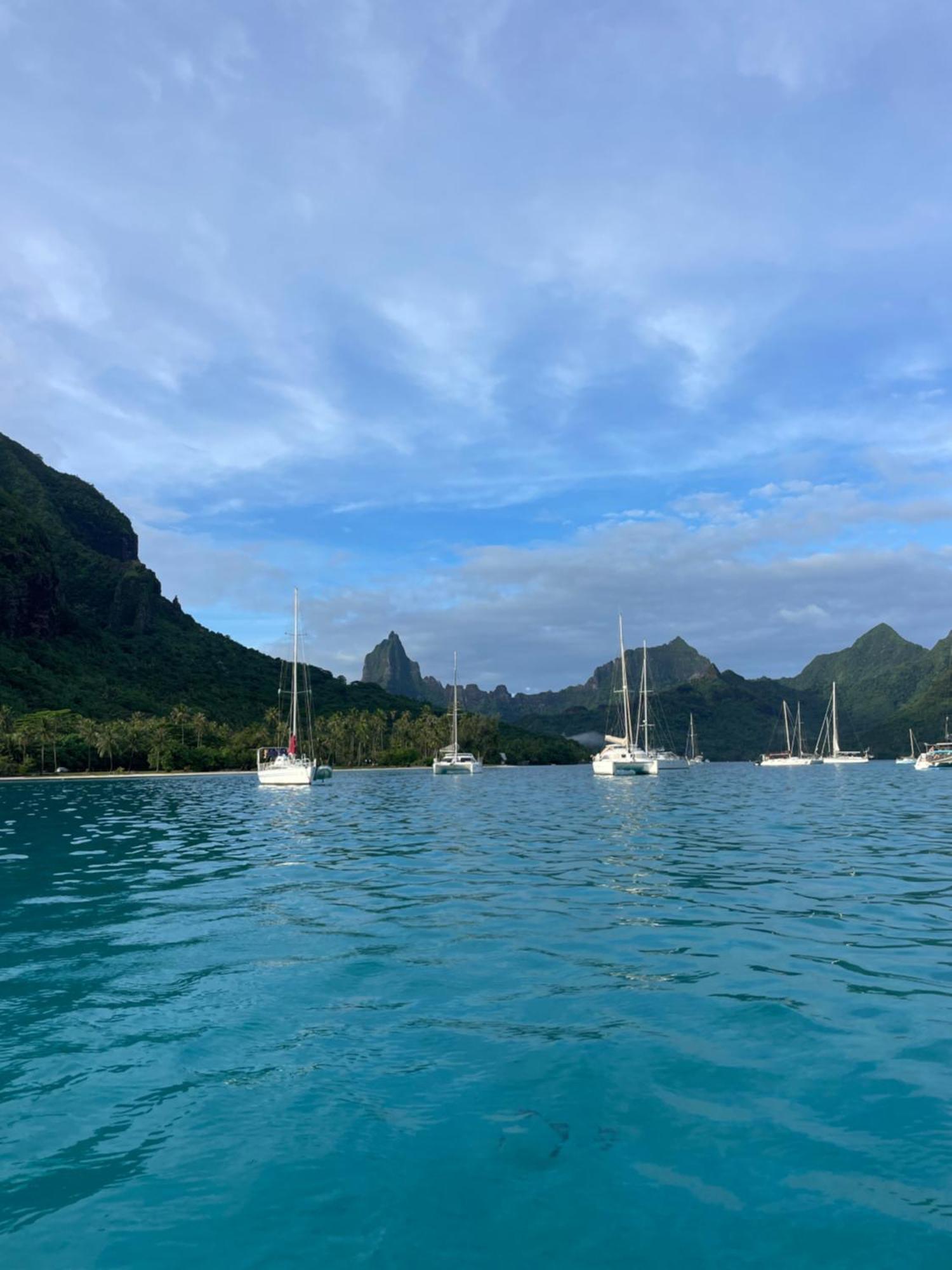 Catamaran Amaya - Sejour Insolite Sur Le Lagon De Moorea Hauru Bagian luar foto